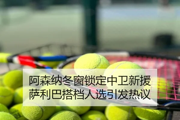 阿森纳冬窗锁定中卫新援 萨利巴搭档人选引发热议